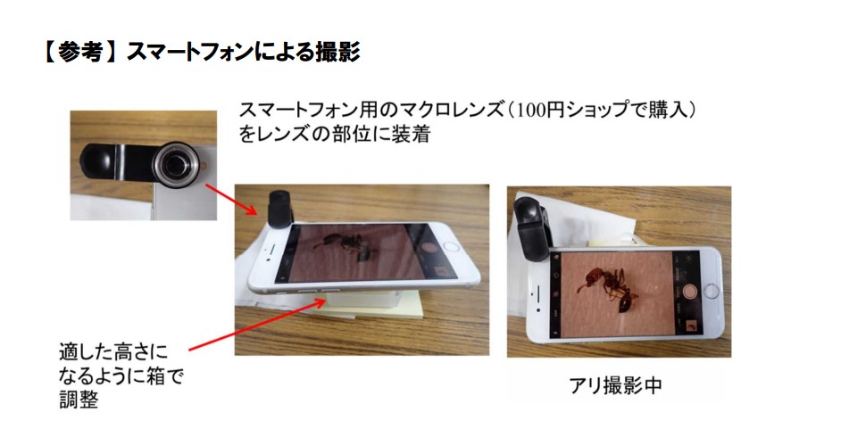 スマートフォンによる撮影