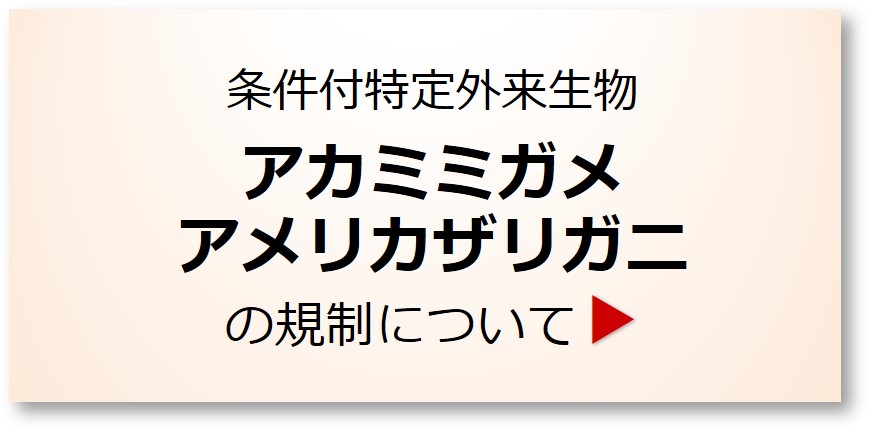 アカミミガメ　アメリカザリガニの規制について