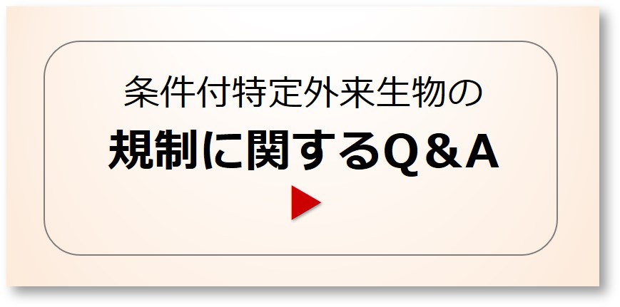 規制に関するQ&A