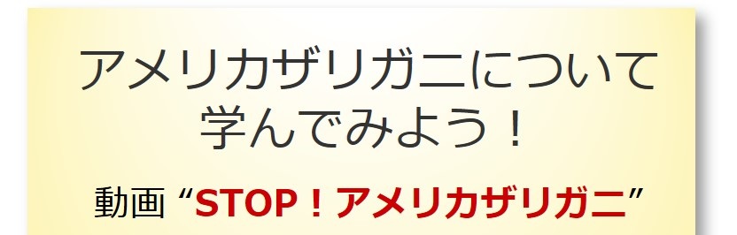 アメリカザリガニについて学んでみよう！