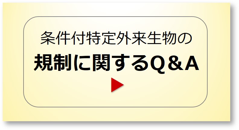 規制に関するQ&A