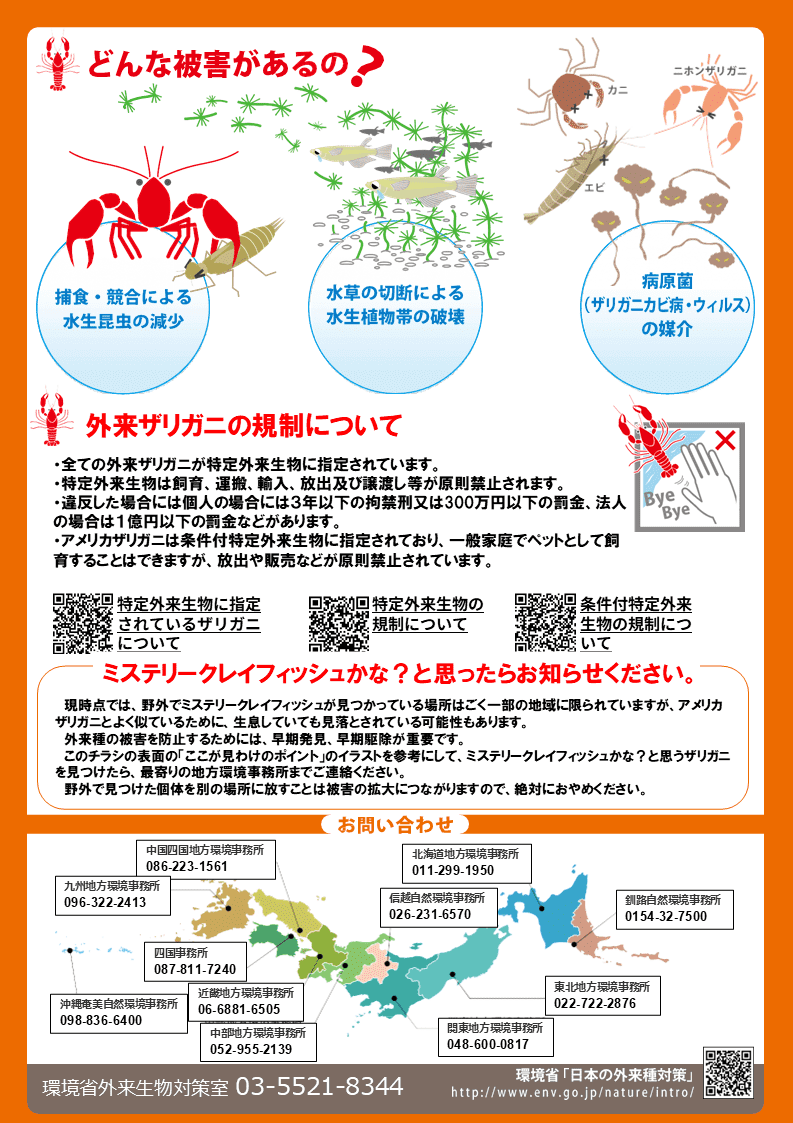 ミステリークレイフィッシュのチラシ（裏）