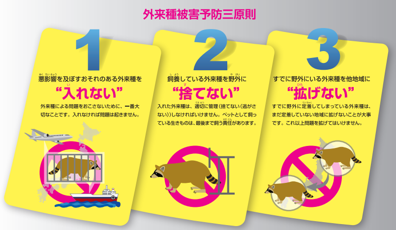 外来種被害予防三原則のイラスト
