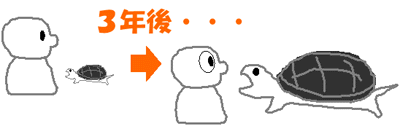 今は小さくても成長したら大きくなるかもしれない