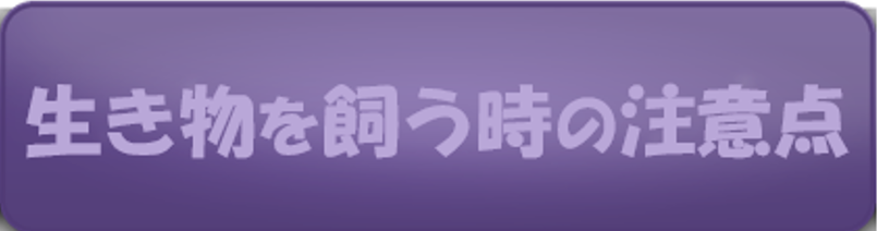 生き物を飼う時の注意点