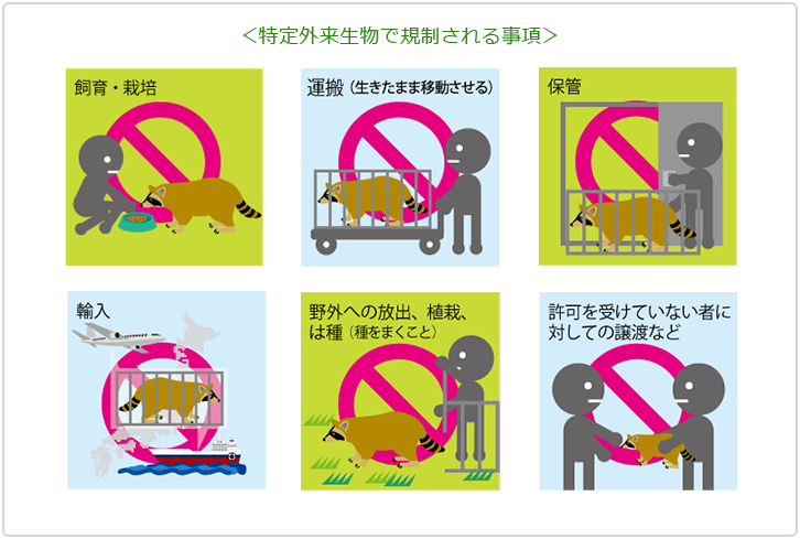 特定外来生物で規制される事項