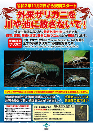 外来ザリガニ 日本の外来種対策 外来生物法