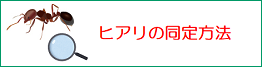 ヒアリの同定方法