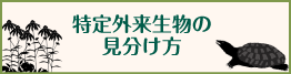 特定外来生物の見分け方