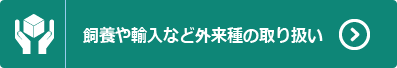 飼養や輸入など外来種の取り扱い