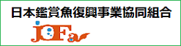 日本観賞魚振興事業協同組合