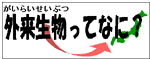 外来生物ってなに？（がいらいせいぶつってなに）