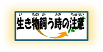 生き物を飼う時の注意（いきものをかうときのちゅうい）