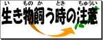 生き物を飼う時の注意（いきものをかうときのちゅうい）