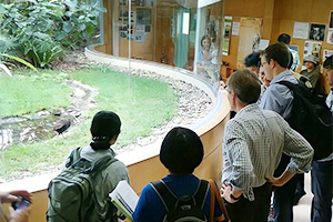 ヤンバルクイナ生態展示学習施設