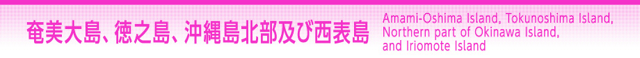 奄美大島、徳之島、沖縄島北部及び西表島