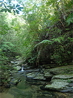 Mountain stream zone