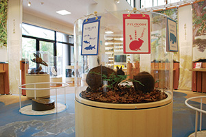 Amami Wildlife Conservation Center