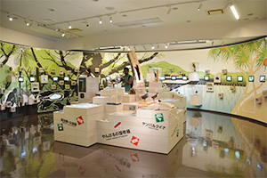 Yambaru Wildlife Conservation Center: Ufugi Nature Museum