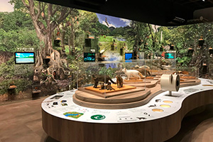 Iriomote Wildlife Conservation Center