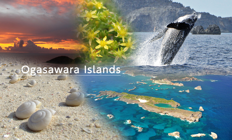 Ogasawara Islands