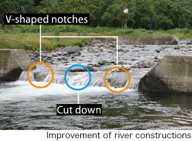 Improvement of river constructions
