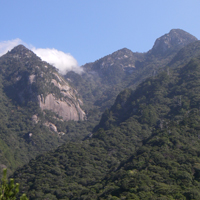 Western area