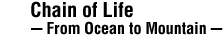 Chain of Life -From Ocean to Mountain-