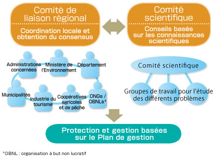 Framework for Protection du Patrimoine naturel mondial of World Natural Heritage Properties in Japan