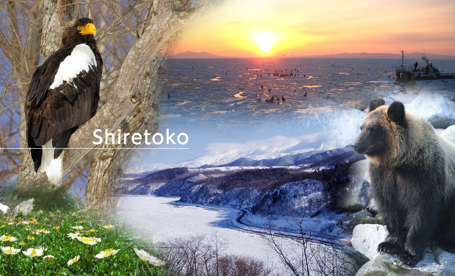 Shiretoko