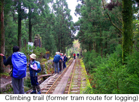 Climbing trail (former tram route for logging)