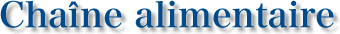 Chaîne alimentaire