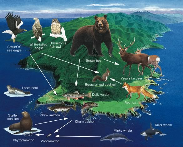 Diversit&eacute; biologique et esp&egrave;ces menac&eacute;es