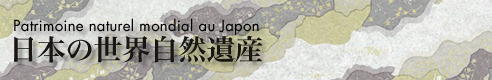 World Natural Heritage in Japan