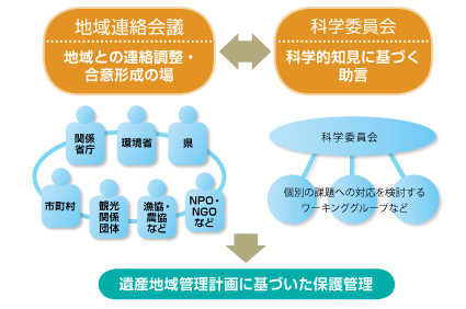 保護管理のための体制