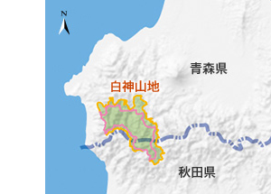 環境省 日本の世界自然遺産 知床 白神山地 小笠原諸島 屋久島 白神山地 世界遺産地域の紹介