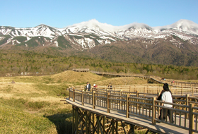 高架木道と利用調整地区制度