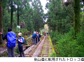 登山道に転用されたトロッコ道