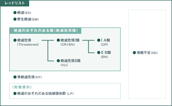 環境省 レッドリスト等に関するq A