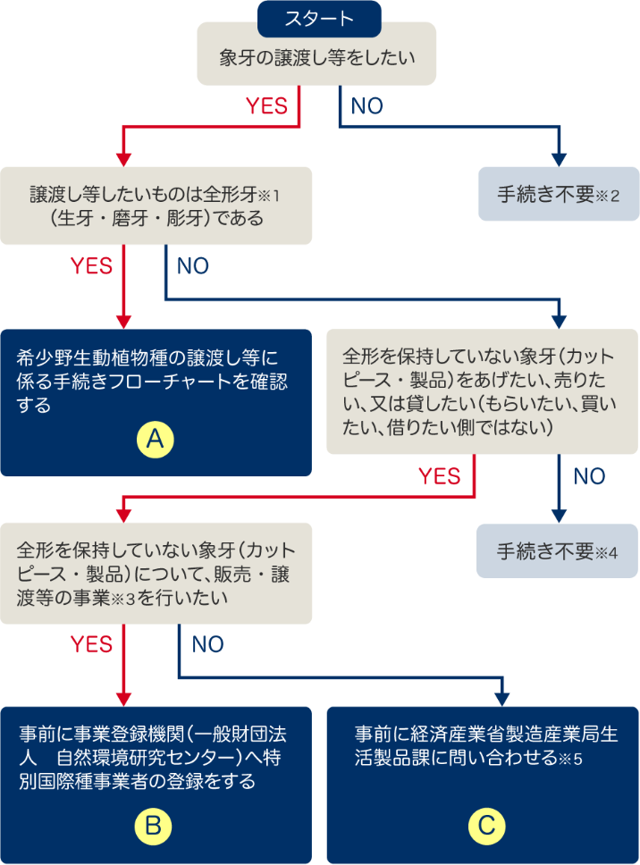 象牙の譲渡し等の目的、行為者、対象物別に手続きの流れを示したフローチャート。