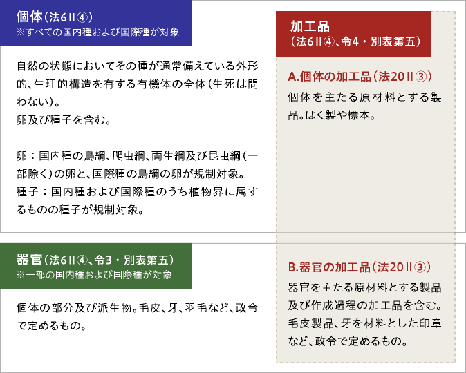 個体、器官、加工品の関係を示した図