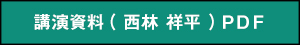 講演資料（西林祥平）PDF