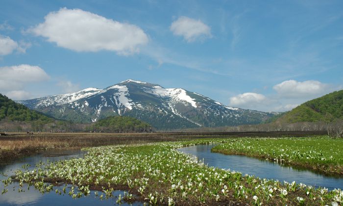 尾瀬国立公園