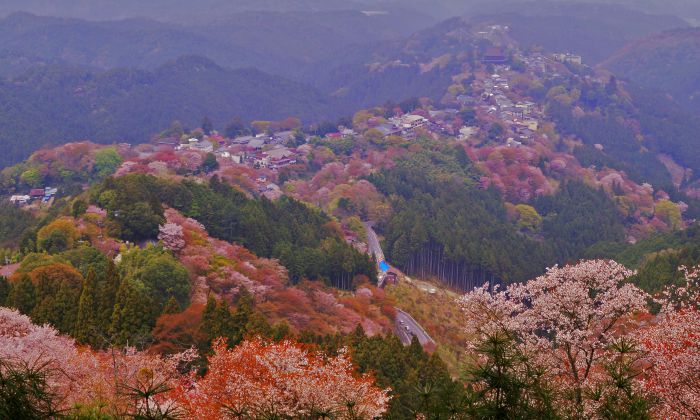 吉野熊野国立公園