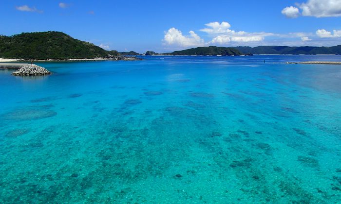 慶良間諸島国立公園