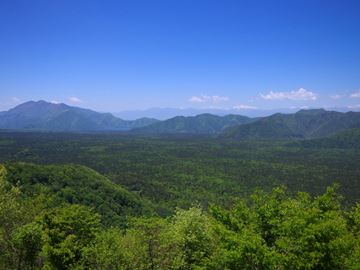 青木ヶ原樹海（三湖台）