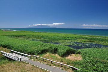 浜勇知園地