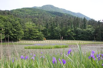 三瓶山（姫逃池）