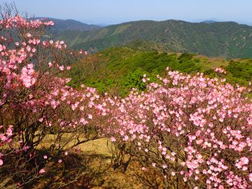 篠山