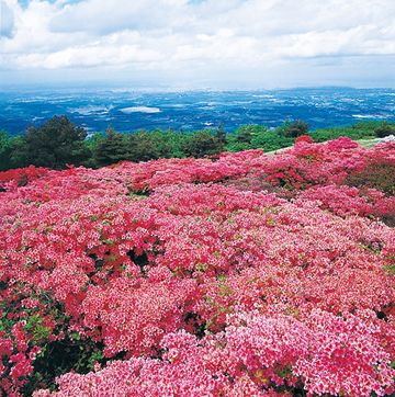 階上岳